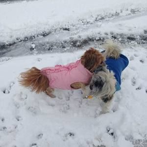 Meet your Posher, Mona ann